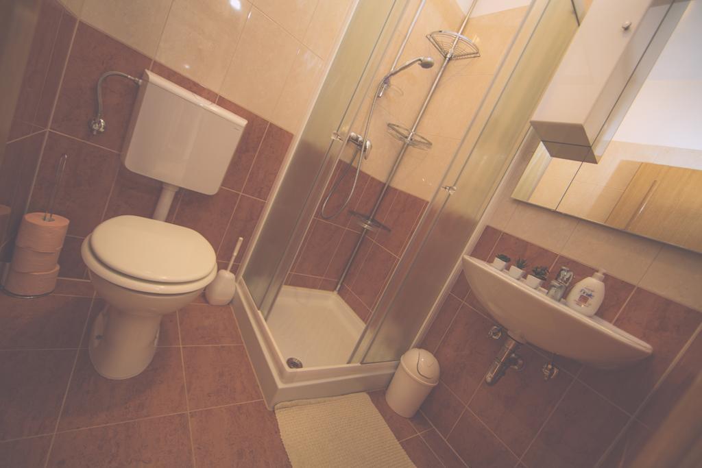 Apartments Meri Ližnjan Værelse billede